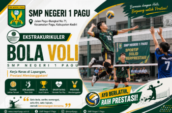 Bola Voli